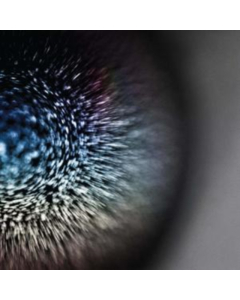 EMPTYSET - BLOSSOMS (VIRGIN VINYL/DL CARD)