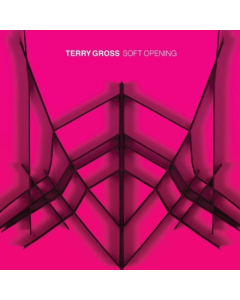 GROSS,TERRY - SOFT OPENING (TRANSLUCENT BLUE VINYL/DL CARD)