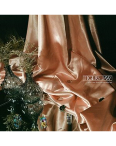 TIGERS JAW - I WON'T CARE HOW YOU REMEMBER ME