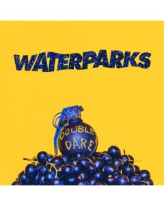 Double Dare - Waterparks
