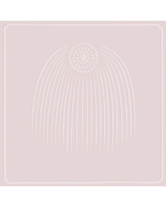 0794558049610.jpg