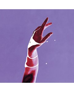 Sour Cherry Bell - Mj Guider