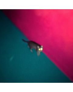 0801061030216.jpg
