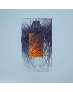 Polymer (2Lp/Dl Card) - Plaid