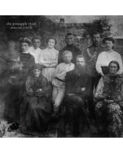 PINEAPPLE THIEF - ABDUCTED AT BIRTH