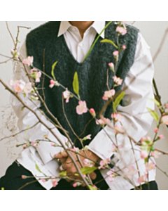 Cherry Blossom Baby - Shigeto