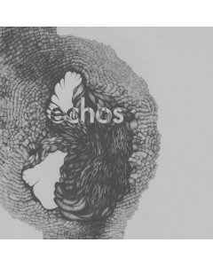 LATE NIGHT ALUMNI - ECHOS