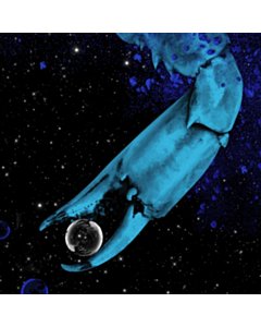 Archbishop Harold Holmes - Jack White