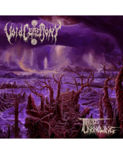 VOIDCEREMONY - THREADS OF UNKNOWING