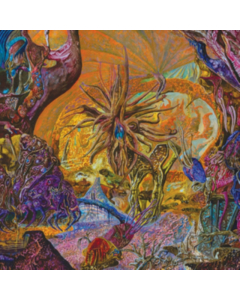 SLIMELORD - CHYTRIDIOMYCOSIS RELINQUISHED