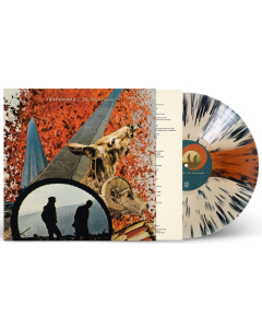 TRAINDODGE - ALLEY PARADE (COLLAGE VINYL) (I)