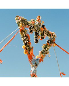 Flowers (Orange Crush Vinyl) (I) - Devil Wears Prada