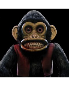 Monkey - Edo Van Breemen