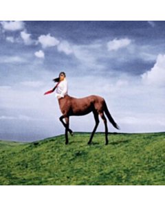 Super Pedestrian - Annie Dirusso