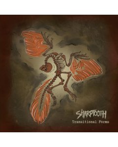 SHARPTOOTH - TRANSITIONAL FORMS