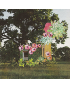MEDICINE - HOME EVERYWHERE