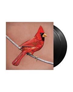 Old Crows/Young Cardinals - Alexisonfire