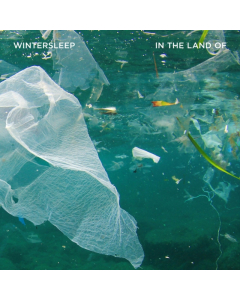 WINTERSLEEP - IN THE LAND OF