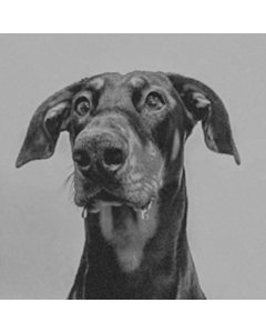 Postindustrial Hometown Blues - Big Special