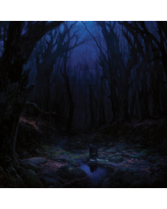 WOODS OF DESOLATION - TORN BEYOND REASON