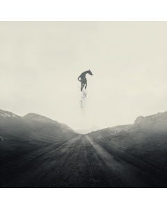 CRIPPLED BLACK PHOENIX - GREAT ESCAPE (LTD. ED/OPAQUE SILVER VINYL/2LP)