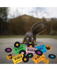 EVIDENCE - SQUIRREL TAPE INSTRUMENTALS VOL. 1 (RANDOM COLOR VINYL)
