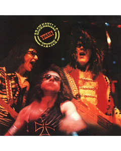 BROWNSVILLE STATION - YEAH (SMOKIN’ HOT GOLD VINYL/50TH ANNIVERSARY/LIMITED EDITION)