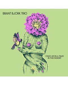 Once Upon A Time In The Desert - Brant Trio Bjork