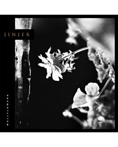 Wallflowers - Jinjer