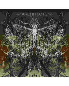 ARCHITECTS - RUIN REISSUE