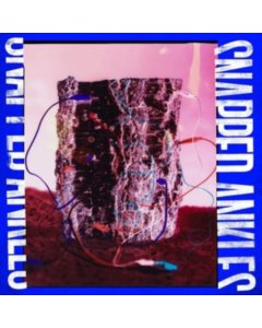 SNAPPED ANKLES - FOREST OF YOUR PROBLEMS (THE PROTESTER EDITION) (FOREST FLOOR RECYCLED VINYL/DL CARD) (I)