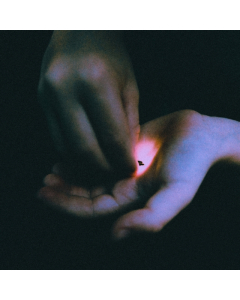 BAMBARA - STRAY