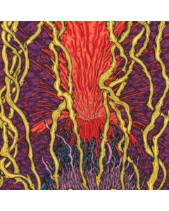 ZOZOBRA - HARMONIC TREMORS
