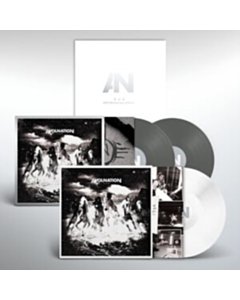 Run (3Lp/Grey & White Vinyl/10Th Anniversary/Deluxe Edition) - Awolnation