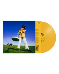 MCKENNA,DECLAN - WHAT HAPPENED TO THE BEACH? (X) (YELLOW VINYL) (I)