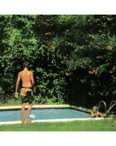 TOLEDO - HOW IT ENDS (COKE BOTTLE CLEAR VINYL) (I)