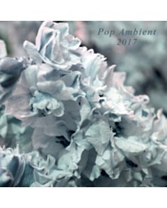 VARIOUS ARTISTS - POP AMBIENT 2017