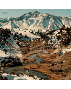 SHEFF,WILL - NOTHING SPECIAL (ECO MIX/RECYCLED COLOR VINYL)