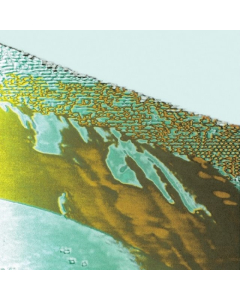 0880918258065.jpg