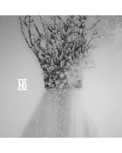 NEGURA BUNGET - ZAU