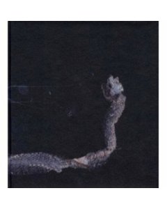 Maaaet (2Lp) - Tenhi