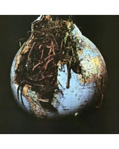 Drosselbart - Drosselbart