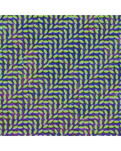 0887828021635.jpg