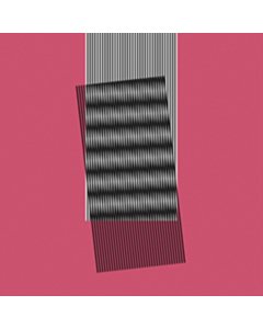 HOT CHIP - WHY MAKE SENSE? (DL CARD)