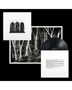 Crooked Wing - These New Puritans