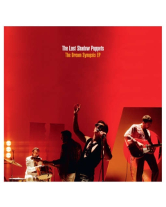 LAST SHADOW PUPPETS - DREAM SYNOPSIS (DL CARD)