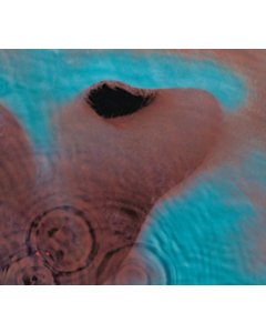 Meddle (180G/Gatefold/2016 Version) - Pink Floyd