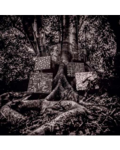 WASHINGTON,KAMASI - HARMONY OF DIFFERENCE