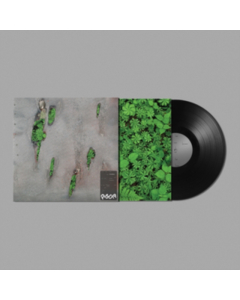 KORELESS - AGOR
