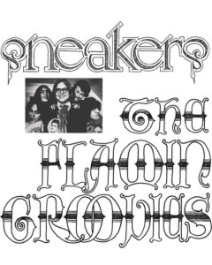 FLAMIN' GROOVIES - SNEAKERS (BLUE VINYL)